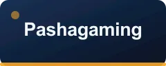 Pashagaming logo