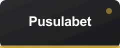 Pusulabet logo