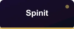 Spinit logo