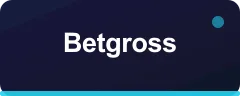 Betgross logo