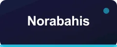 Norabahis logo